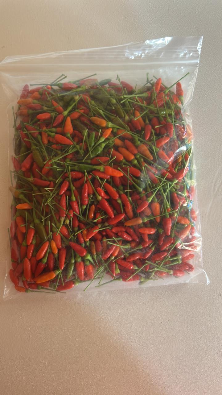 Fresh hot peppers packaged for sale